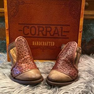 Corral mule